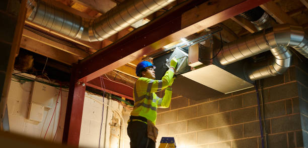 Best Affordable Duct Cleaning Services  in Lake Holiday, IL