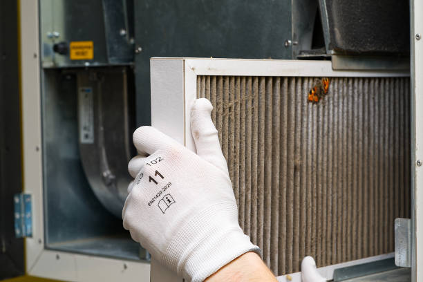 Best HVAC Duct Inspection Services  in Lake Holiday, IL
