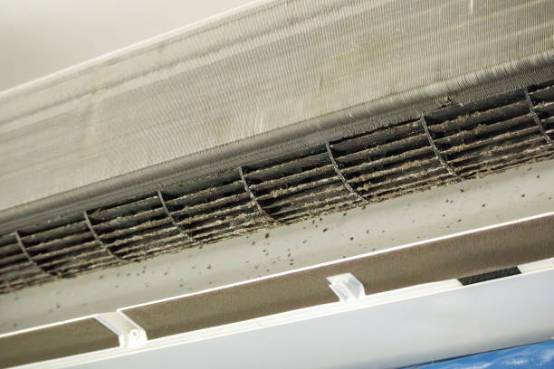 Best Home Air Vent Cleaning  in Lake Holiday, IL