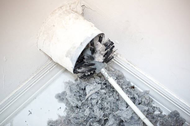 Best Best Air Duct Cleaning Near Me  in Lake Holiday, IL